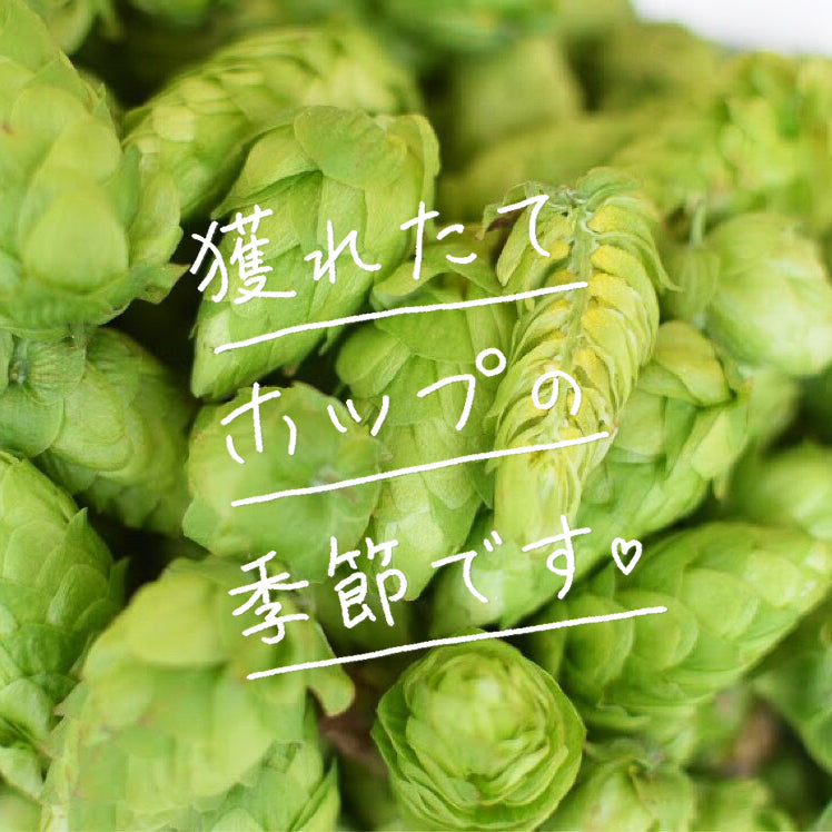 フレッシュポップのビール